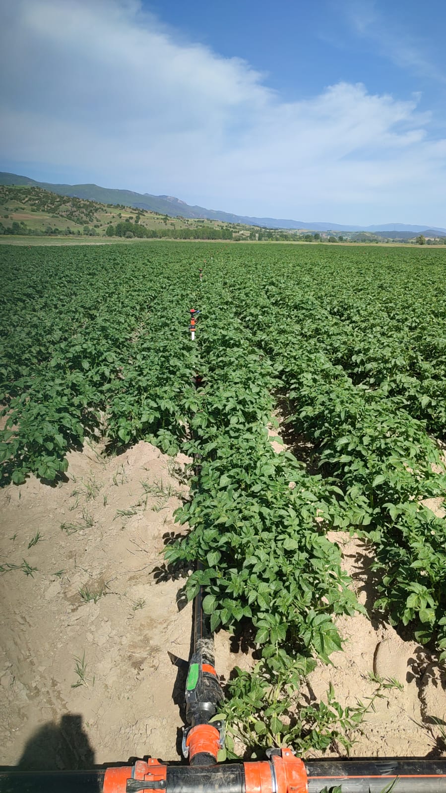  Tokat Erbaa Tarım Arazisi 